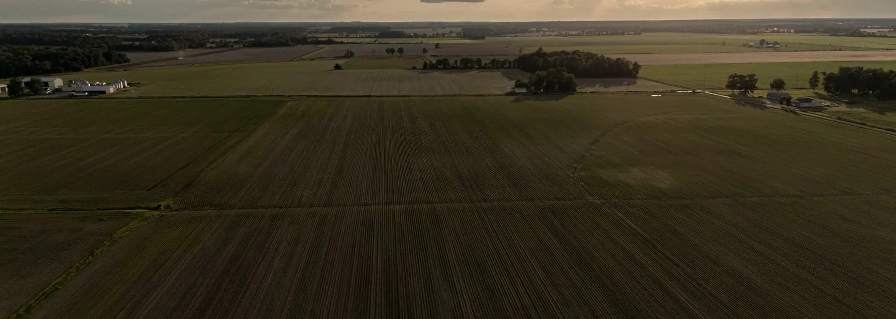 Lavoura ao entardecer com linhas de plantio convergindo para o horizonte